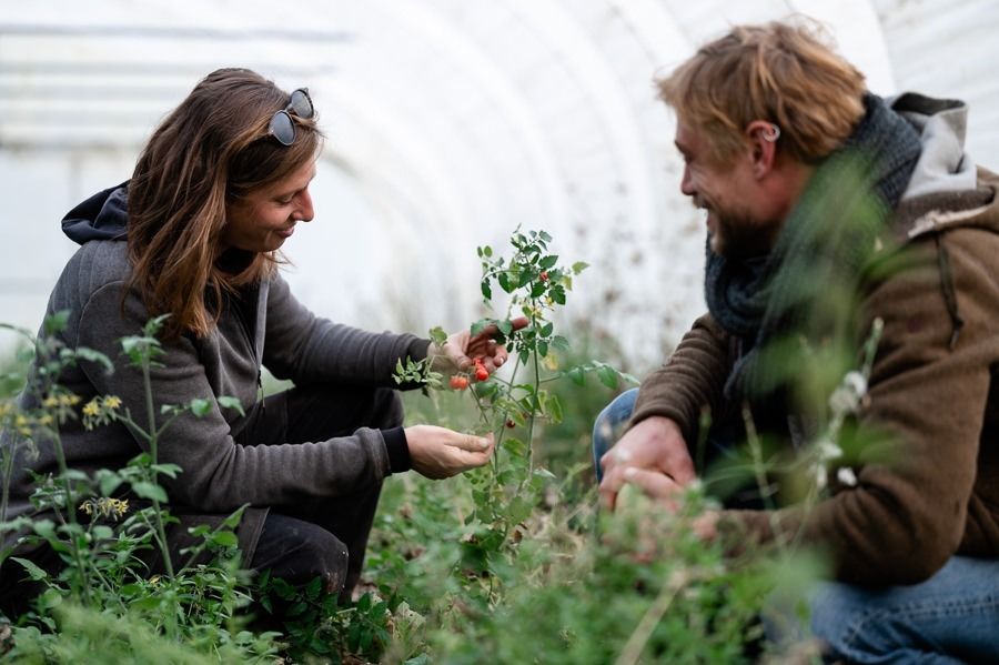 Clara et Adrien au travail dans la serre du Navet qui Ry